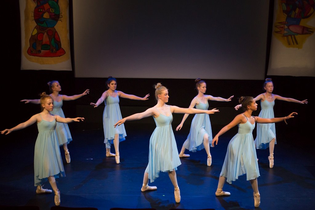 DMB Academie 2018 304.jpg